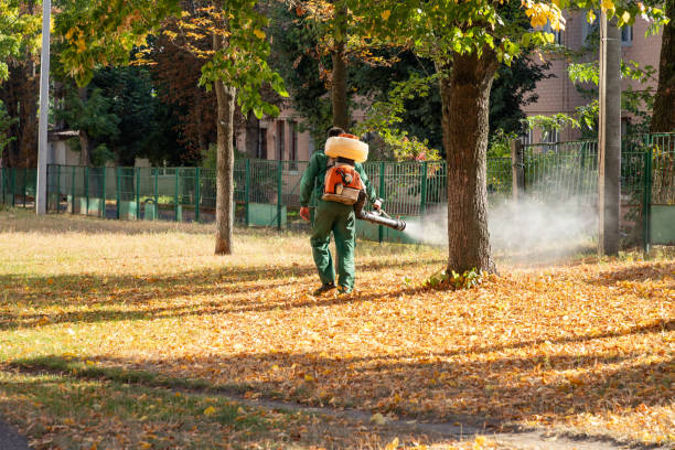 Best Pest Prevention Services  in Bethlehem, WV