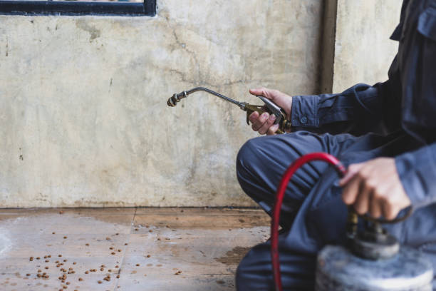 Pest Prevention Services in Bethlehem, WV